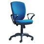 The product picture